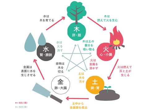 精油 五行|五行説＋五行精油分類表の解説。自分の不調の根本を。